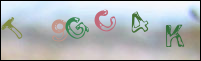 Registration Image