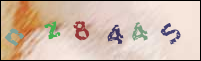 Registration Image
