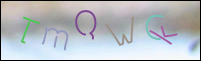 Registration Image