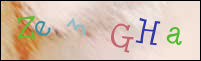 Registration Image