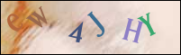 Registration Image