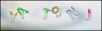 Registration Image