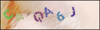 Registration Image