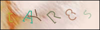 Registration Image