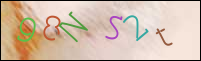 Registration Image