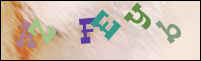 Registration Image
