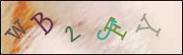 Registration Image
