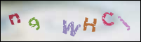 Registration Image