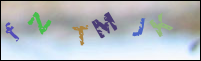 Registration Image