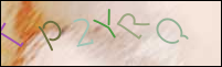 Registration Image