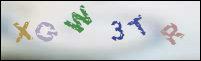 Registration Image
