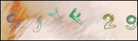 Registration Image