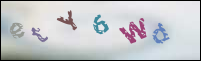 Registration Image