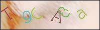 Registration Image
