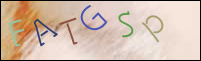 Registration Image
