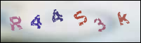 Registration Image