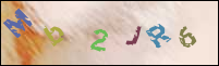 Registration Image