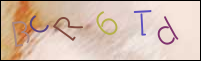 Registration Image