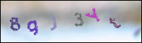 Registration Image