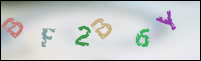 Registration Image