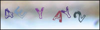 Registration Image