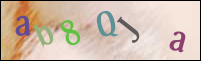 Registration Image