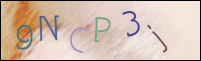 Registration Image