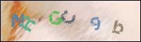 Registration Image