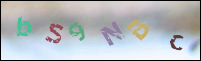 Registration Image