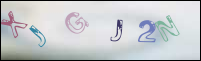 Registration Image