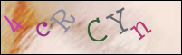 Registration Image