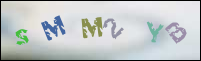 Registration Image