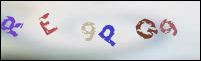 Registration Image
