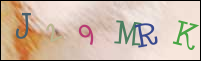 Registration Image