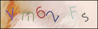 Registration Image