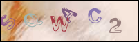 Registration Image