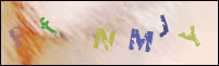 Registration Image