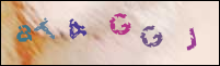Registration Image