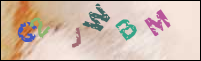 Registration Image