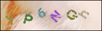 Registration Image