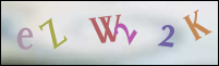 Registration Image