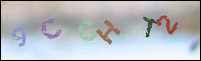 Registration Image