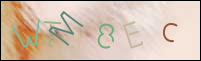 Registration Image