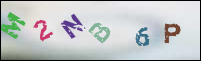 Registration Image