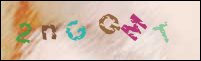 Registration Image