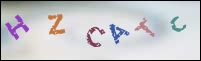 Registration Image