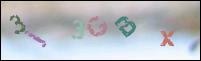 Registration Image