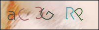 Registration Image