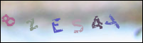 Registration Image