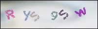 Registration Image